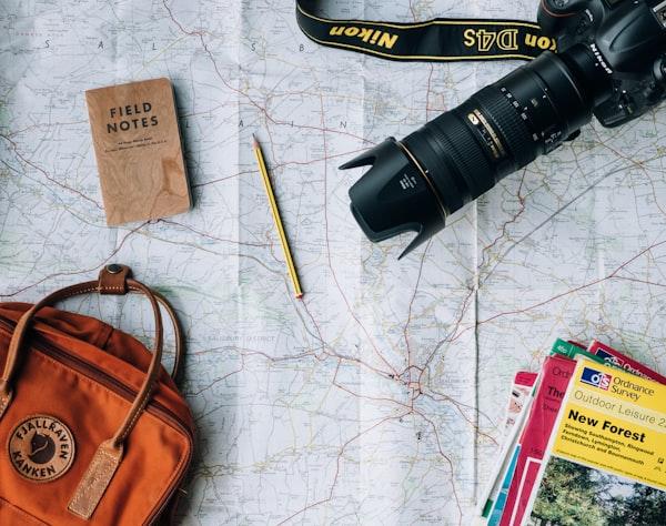 Traveler using phone abroad